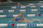 MSwim vs USCGA  Men’s Swimming & Diving vs US Coast Guard Academy. : MSwim, swimming